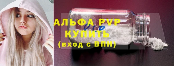 ECSTASY Алзамай