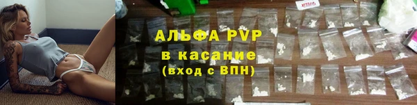 ECSTASY Алзамай