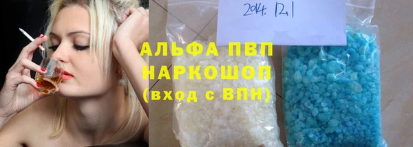 ECSTASY Алзамай