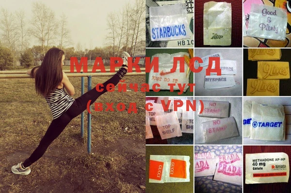 ECSTASY Алзамай