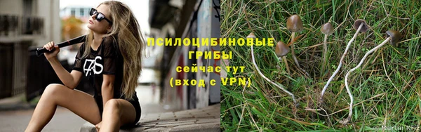дживик Алексин