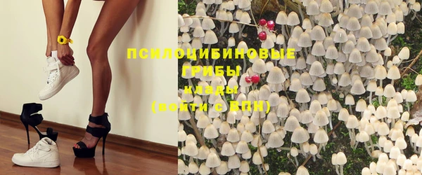 дживик Алексин