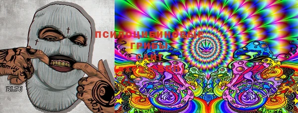 ECSTASY Алзамай