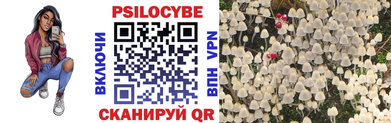 kraken ССЫЛКА  Топки  Галлюциногенные грибы Psilocybine cubensis 